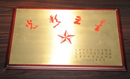 2007年“光彩之星”獎(jiǎng)牌